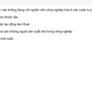 MLN122 SU26 FE RE_054.webp