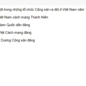 VNR202 SU26 FE RE_006.webp