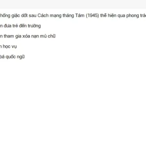 VNR202 SU26 FE RE_016.webp