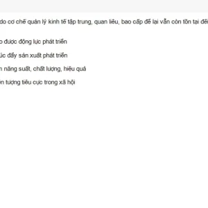 VNR202 SU26 FE RE_037.webp