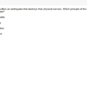 BDT202c SU26 FE_022.webp