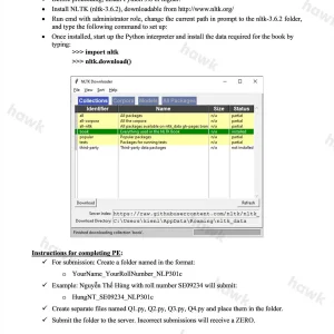 NLP301c SU26 PE_001.webp