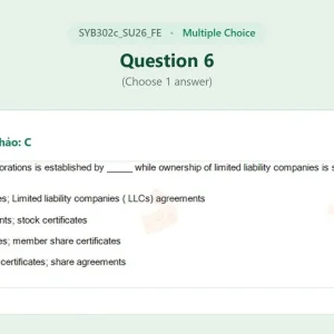 SYB302c SU26 FE_006.webp