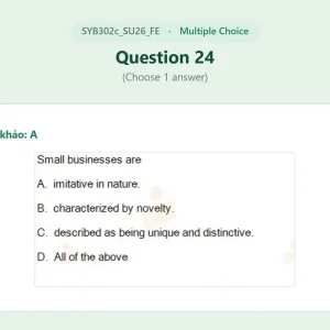 SYB302c SU26 FE_024.webp