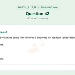 SYB302c SU26 FE_042.webp