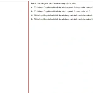 HCM202 SU25 B5 FE_001.webp