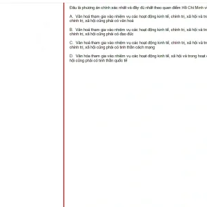 HCM202 SU25 B5 FE_002.webp