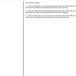 HCM202 SU25 B5 FE_003.webp