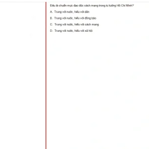 HCM202 SU25 B5 FE_005.webp