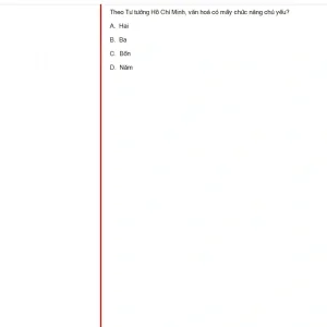 HCM202 SU25 B5 FE_008.webp