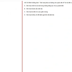 HCM202 SU25 B5 FE_009.webp