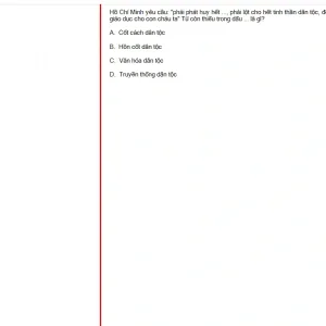 HCM202 SU25 B5 FE_013.webp