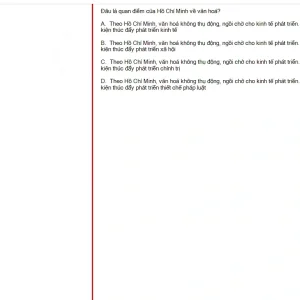 HCM202 SU25 B5 FE_015.webp