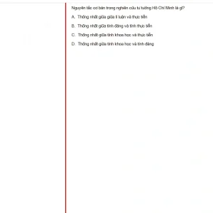 HCM202 SU25 B5 FE_017.webp
