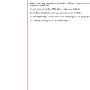 HCM202 SU25 B5 FE_020.webp