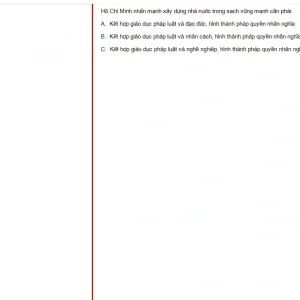 HCM202 SU25 B5 FE_025.webp