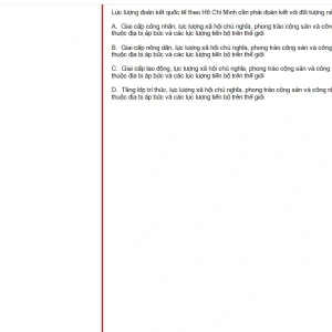 HCM202 SU25 B5 FE_028.webp
