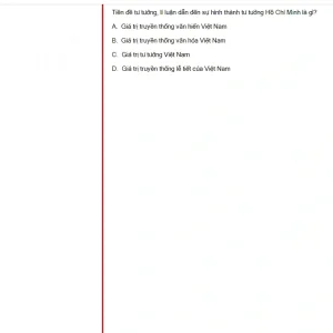 HCM202 SU25 B5 FE_036.webp
