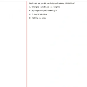 HCM202 SU25 B5 FE_037.webp