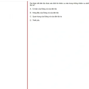 HCM202 SU25 B5 FE_042.webp