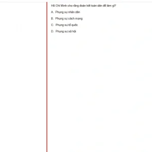 HCM202 SU25 B5 FE_044.webp