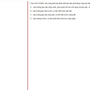 HCM202 SU25 B5 FE_046.webp