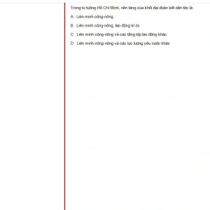 HCM202 SU25 B5 FE_050.webp