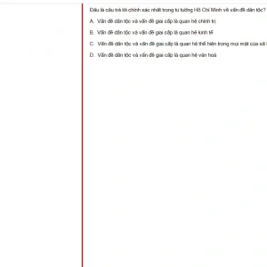 HCM202 SU25 B5 FE_052.webp