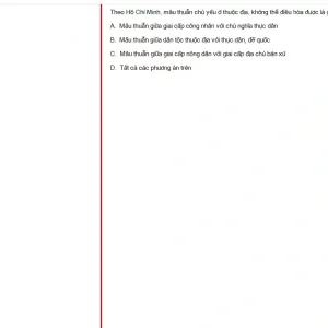 HCM202 SU25 B5 FE_053.webp