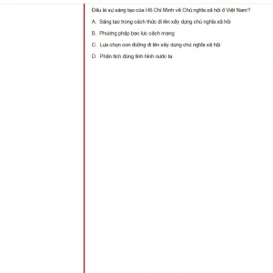 HCM202 SU25 B5 FE_054.webp