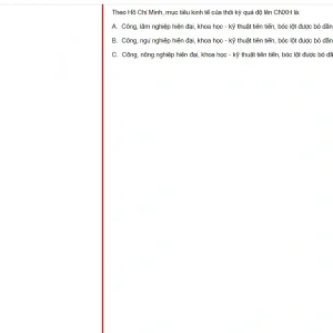 HCM202 SU25 B5 FE_055.webp
