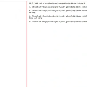 HCM202 SU25 B5 FE_058.webp