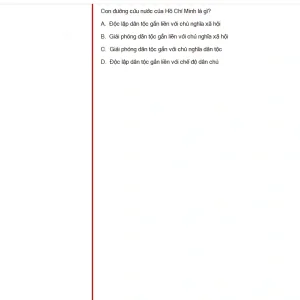 HCM202 SU25 B5 FE_059.webp