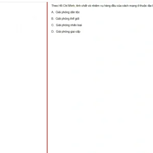 HCM202 SU25 B5 FE_060.webp