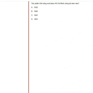 HCM202 SU25 FE_008.webp