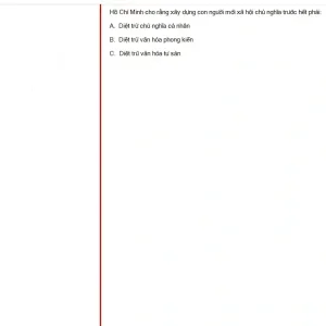 HCM202 SU25 FE_010.webp