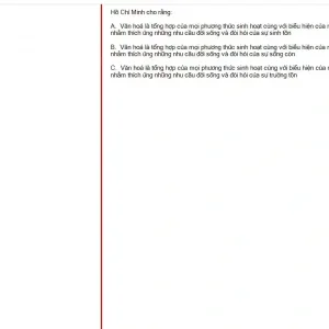 HCM202 SU25 FE_012.webp