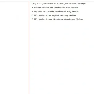 HCM202 SU25 FE_018.webp