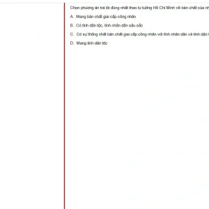 HCM202 SU25 FE_021.webp