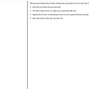 HCM202 SU25 FE_025.webp