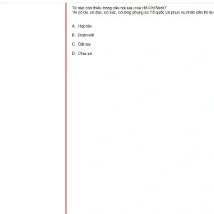 HCM202 SU25 FE_045.webp