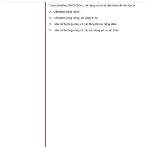 HCM202 SU25 FE_048.webp
