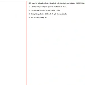 HCM202 SU25 FE_053.webp