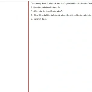 HCM202 SP25 FE_026.webp