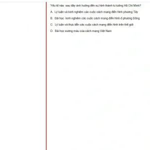 HCM202 SP25 FE_037.webp