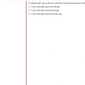 HCM202 SP25 FE_041.webp