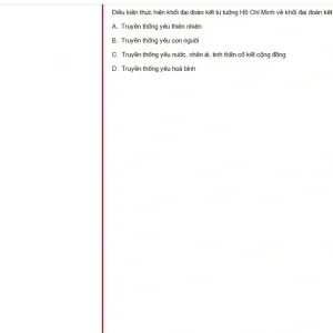 HCM202 SP25 FE_044.webp