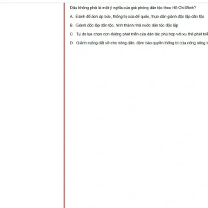 HCM202 SP25 FE_054.webp