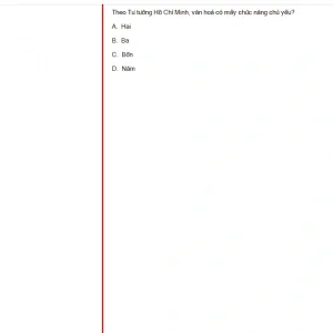 HCM202 FA24 FE RE_004.webp