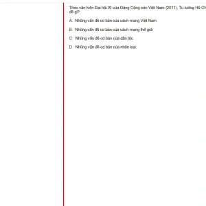 HCM202 FA24 FE RE_017.webp
